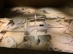 -洛阳周王城天子驾六博物馆