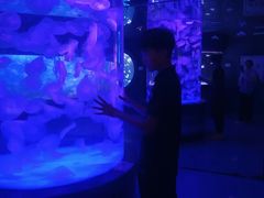 -左海海底世界