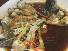 孔雀开屏-花间酒庭院餐厅(谷山店)