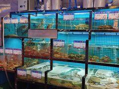 -沈胖子音乐烤吧·炒菜·龙虾(环城东路店)