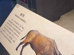 -大庆市博物馆