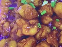 -全乐鱼馆·淳牌有机鱼直营店