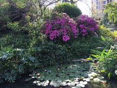 -晓港公园