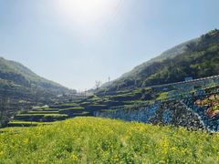 -四明山国家森林公园