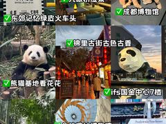 -成都大熊猫繁育研究基地