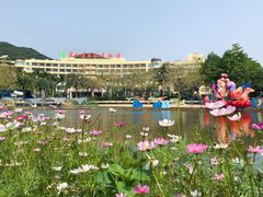 -碧水湾温泉