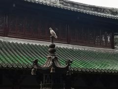 -南华禅寺