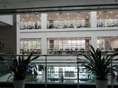-青岛市图书馆