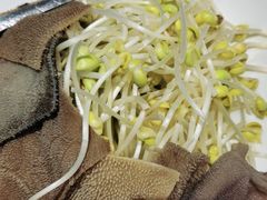 紫阳经典涮毛肚-紫阳海鲜楼·传承闽味(长乐路总店)