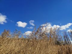 -沈阳植物园