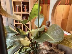 -邈墨茶馆(凤起路店)