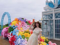 -杭州湾海上花田景区