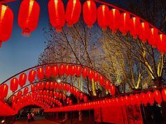 -河北省园博园