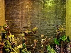 -泰适SPA馆丨精油·按摩·足道(后海地铁口店)