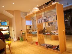 -Pets First伊珊娜洗护·精致美容·家庭式寄养(新会路店)
