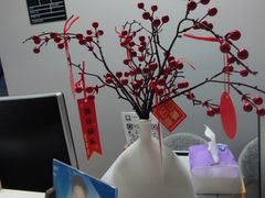 -小象国照相馆(宝山万达店)