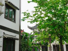 -靖西锦绣古镇景区