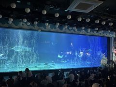 -烟台海昌鲸鲨海洋公园