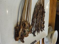 -祝哥最火碳缸烧鸽撸串