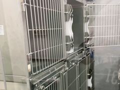 -宠福鑫康馨动物医院·骨科·眼科
