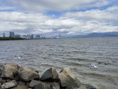 -红树湾(地铁站)