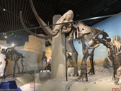 -国家自然博物馆