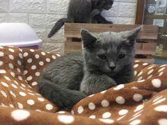-龟与熊猫宠物公园(南坪店)