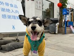 -小意思咖啡店(草桥店)
