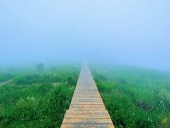 -白草畔自然风景区