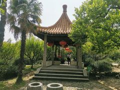 -雨花胜境