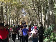 -艾提尕尔清真寺