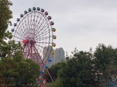 -南湖梦幻岛