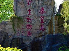 -秦皇岛野生动物园