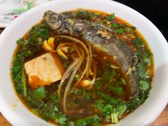 -金海椒罐罐鲢鱼(东方桂苑店)