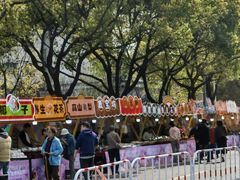 -高东镇樱花园