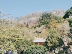 -南普陀寺