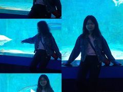 -石林冰雪海洋世界