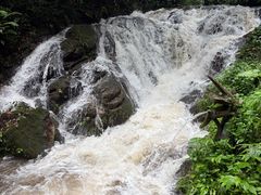-莫里热带雨林景区