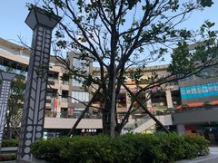 -浦江城市生活广场(江月路店)