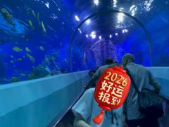 -成都浩海立方海洋公园