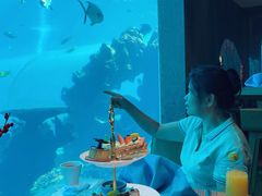 -海棠湾洲际-涛·海底餐厅·美人鱼·自助餐·海底隧道