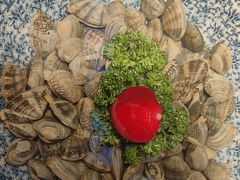 -鸽子窝(宋庄店)