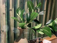 -小饕荟养生火锅(仁和·熙春郡店)