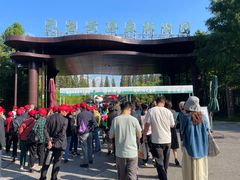 -黄海国家森林公园