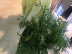 -蘑统田下·野生菌火锅