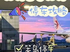 -福州长乐国际机场航站楼-停车场