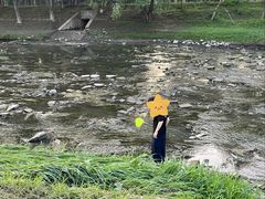 -东坝千亩湖公园