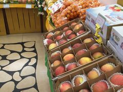 -百果园PAGODA(南沙路店)