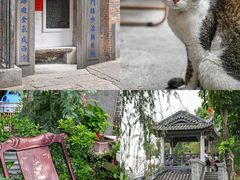 -荔湾湖公园