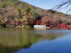 -龙道沟景区